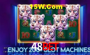 48Bet Salvador - Statistics